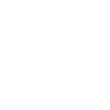 home icon 1
